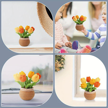 Crochet kit for Beginners Adults and Kids Knitting Flower and Plant for Starter Lovers Learn How to with Step- by- Step Video Tutorial for DIY Kits