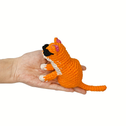 DIY Cat Crochet Starter Kits For Beginners Cat, Fish, Cat Paw Crochet Set Beginners Making Gifts, Coasters, Ornaments With Step-by-Step Video Tutorials Easy Amigurumi Crochet Kit